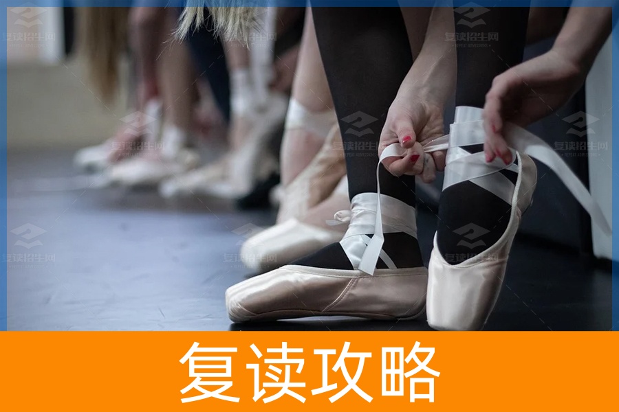 艺考文化课该如何冲刺高考?(艺考文化课如何学习)